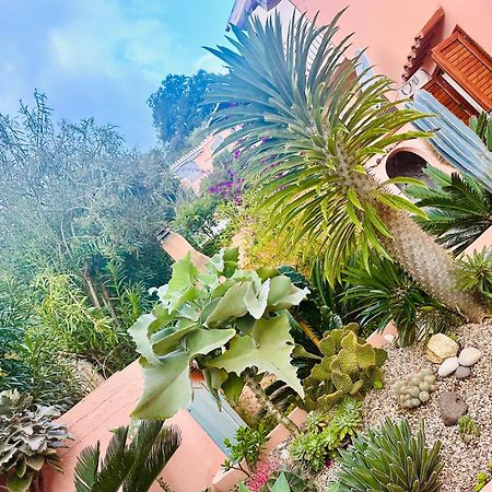 Il Giardino Davanti Al Mare Orosei Εξωτερικό φωτογραφία