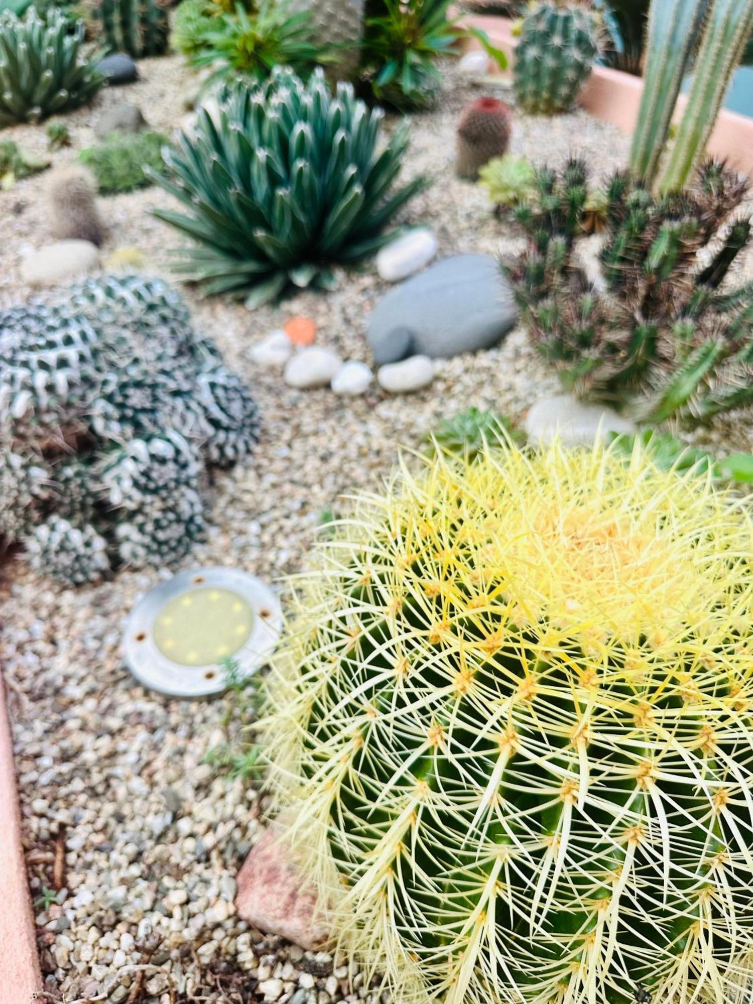 Il Giardino Davanti Al Mare Orosei Εξωτερικό φωτογραφία